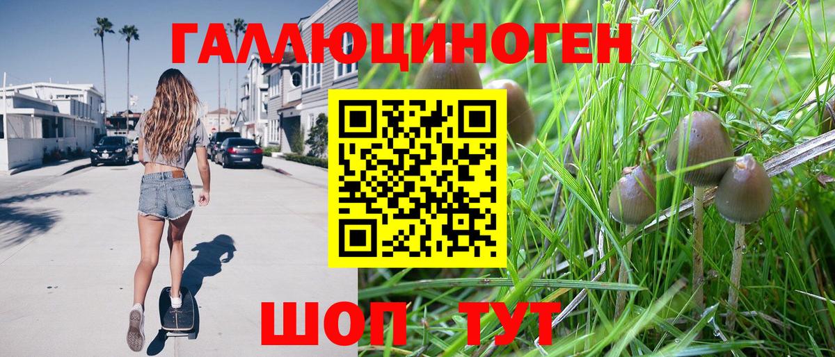 Псилоцибиновые грибы Cubensis  Галлюциногенные грибы прущие грибы  Керчь  Вход с VPN 